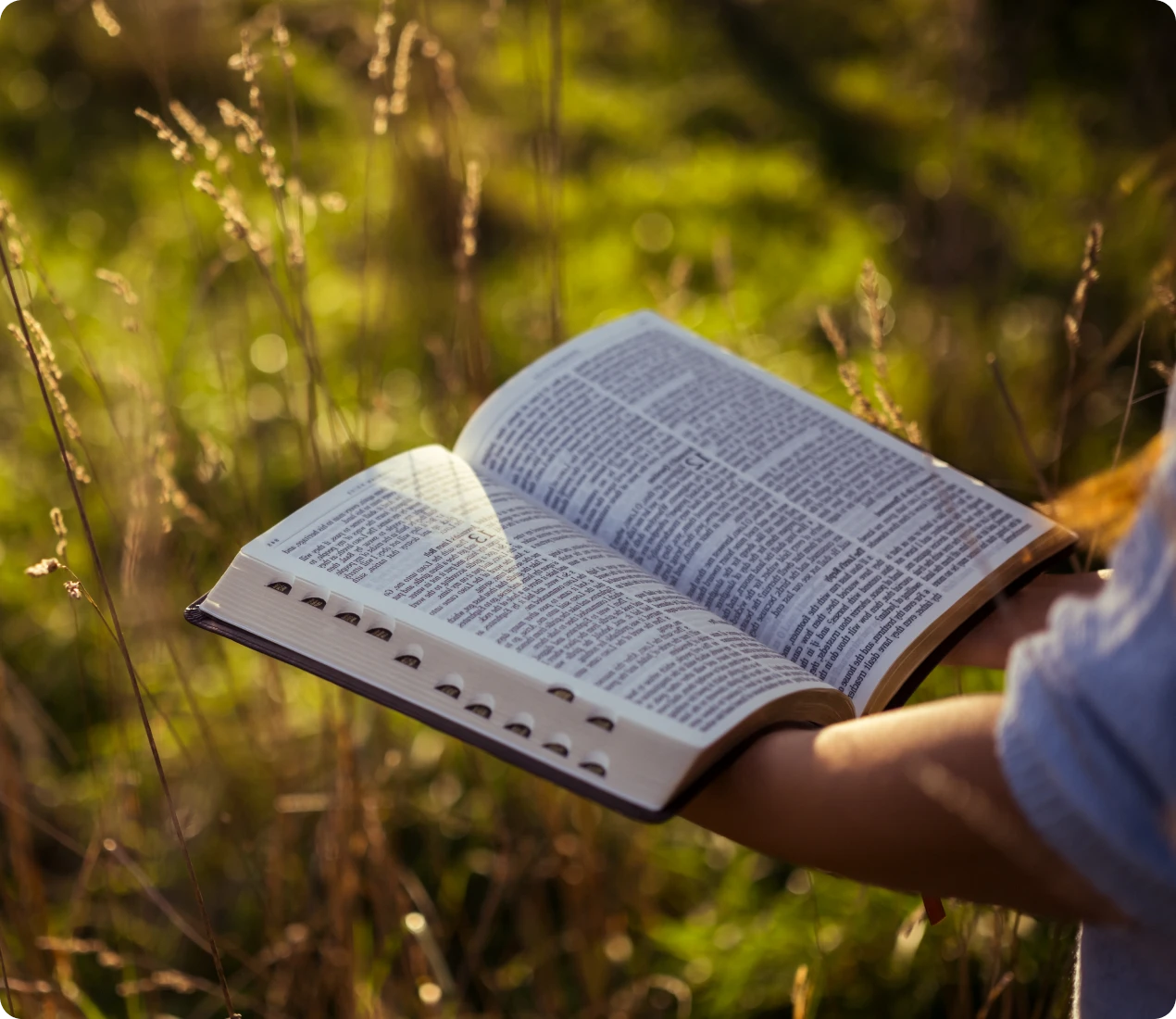 Hands holding book outdoors in nature